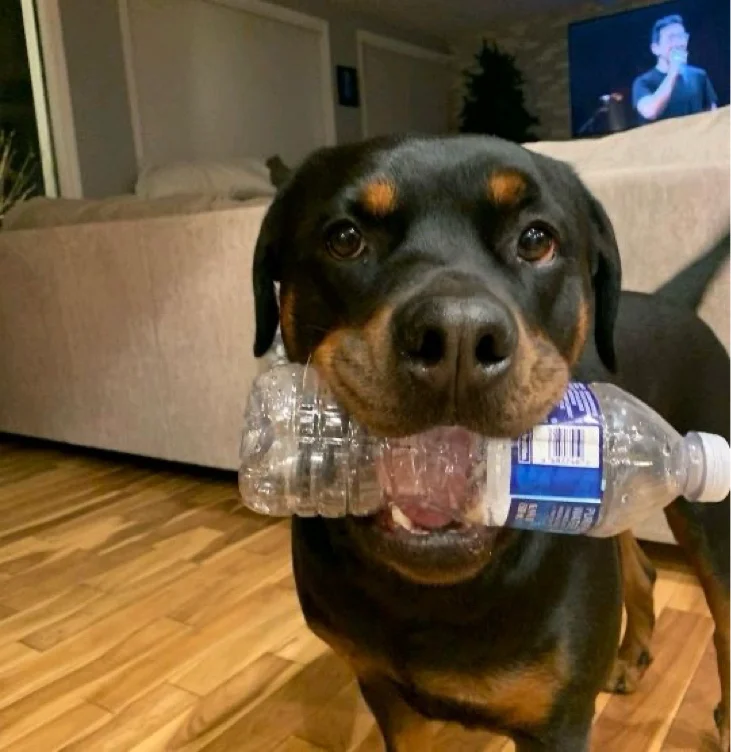 buy puppy a latte! x3