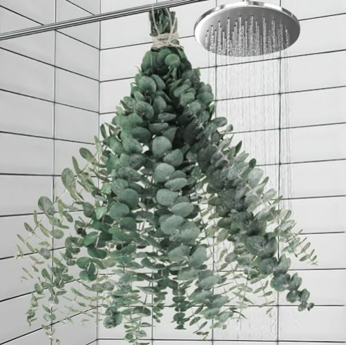 Real Dried Eucalyptus for Shower Hanging Decor-11 PCS 17'' Large Eucalyptus Stems Shower Plants from Fresh Eucalyptus Leaves for Shower, Shower Stuff Green Home Bathroom Vase Decor, DIY - 11pcs