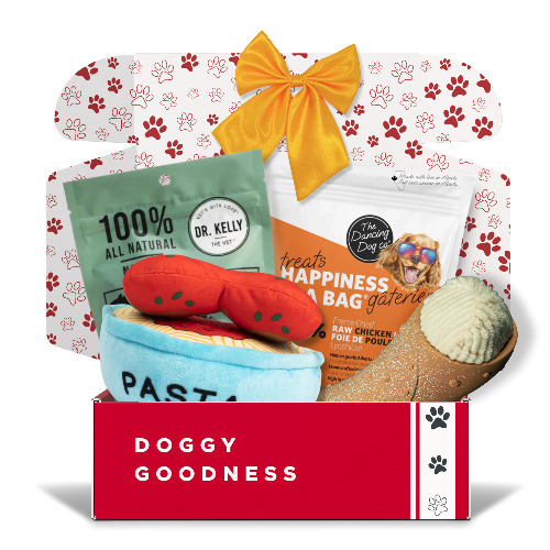 Trip to Italy Themed Dog Box - Medium