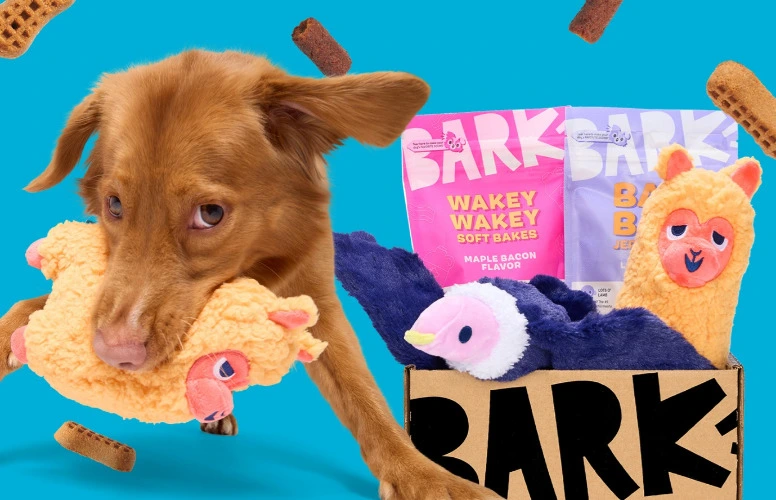 6 Months of Barkbox!