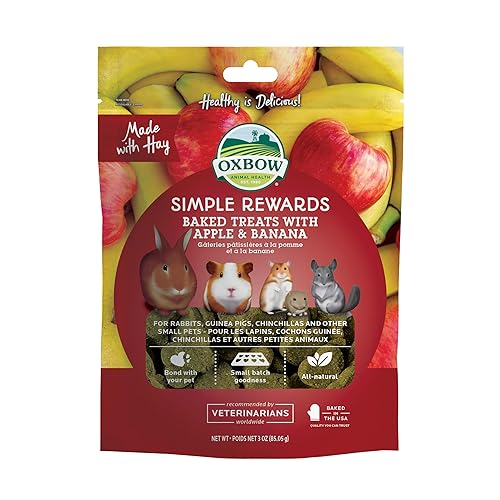Oxbow Simple Rewards Baked Treats with Apples and Bananas for Rabbits, Guinea Pigs, Chinchillas, and Small Pets 3 Ounce (Pack of 1) - Apple & Banana - 3 Ounce (Pack of 1)