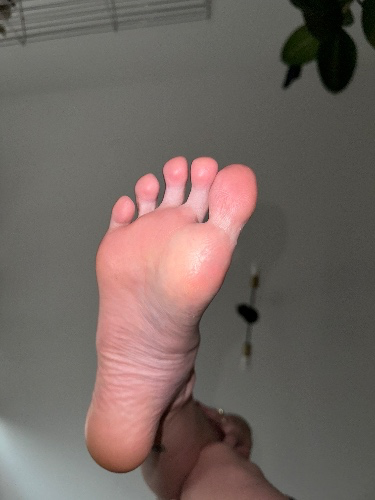 Przywitaj się z Królową 