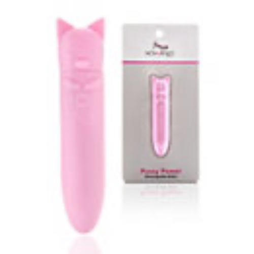 Pussy Power 8-Function Rechargeable Bullet Vibrator 4 Inch - Sexology - Spencer's