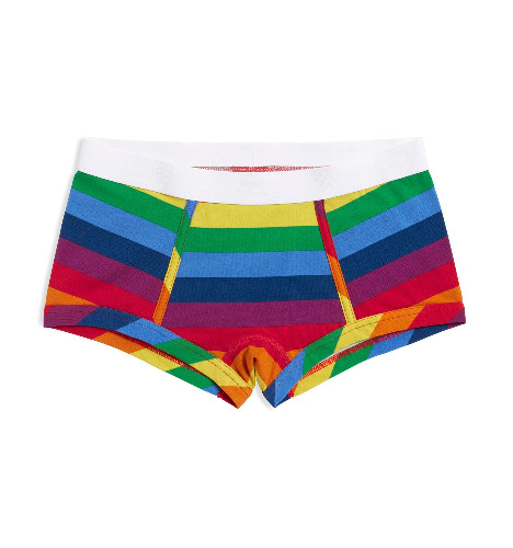 Boy Shorts - Rainbow Pride Stripes | XL / Rainbow Pride Stripes