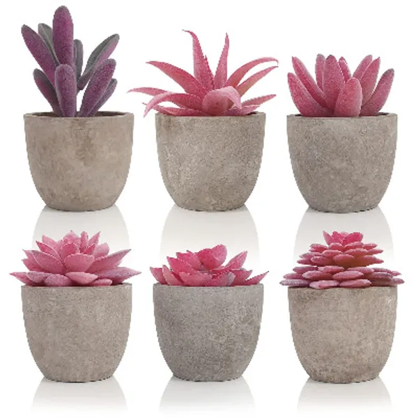 Fake Succulents pink