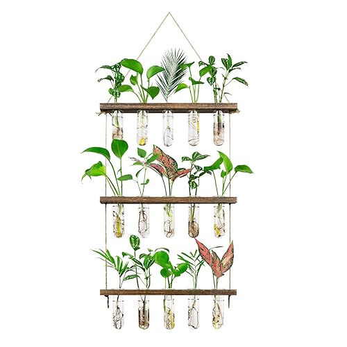 Monsiter QE 3 Tier Large Propagation Stations Wall Hanging Plant Terrarium with Wooden Stand, Retro Propagation Test Tube for Hydroponic Plants Cutting Flower, Propagator Home Office Patio Decor Gifts - 3 Tier