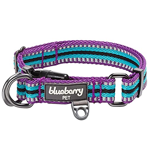Blueberry Pet Reflective Dog Collar (Medium) - Violet and River Blue