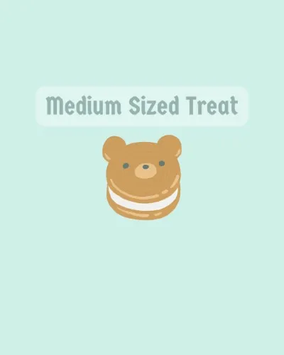⊹ ࣪ ˖ Medium Sized Treat ᢉ𐭩