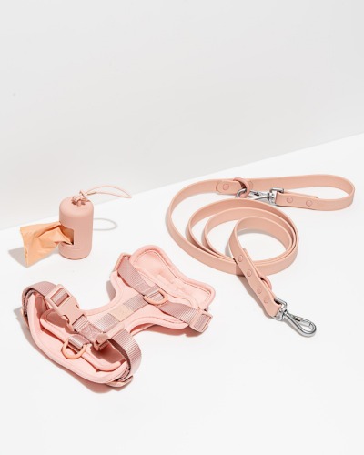 Harness Walk Kit | Blush / L / Standard
