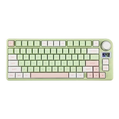 EPOMAKER TH80-X Gasket Mechanical Keyboard, 75% Layout Triple Mode Hot-swap Gaming Keyboard with 4000mAh Battery, LCD Screen, NKRO, RGB for Office/Win/Mac (Green, Epomaker Flamingo Switch) - Epomaker Flamingo Switch - Green