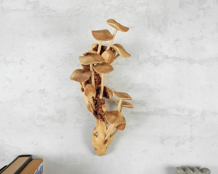 Wall Hanging Mushrooms