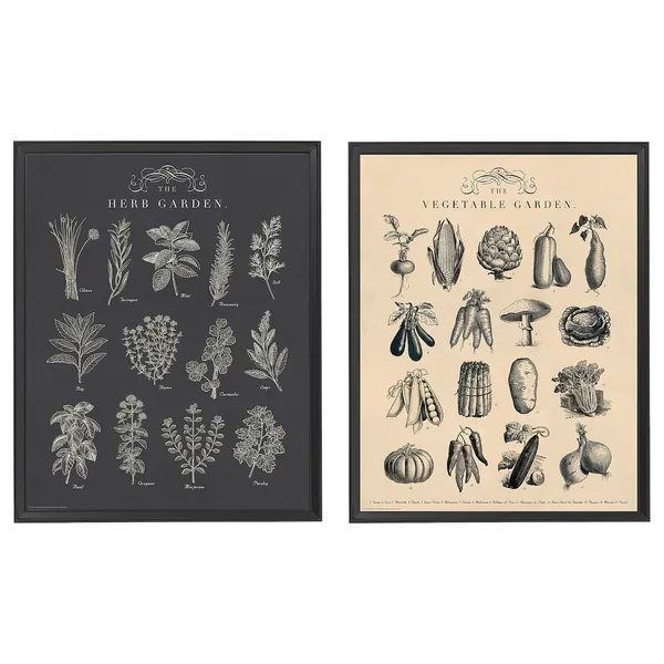 KNOPPÄNG Garden Poster | 16x20 "