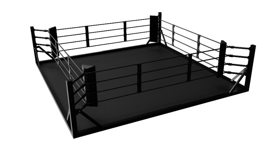 Quick-Assembly Folding Boxing Ring | 5m (16.5ft) Includes Roll Out Floor Mat