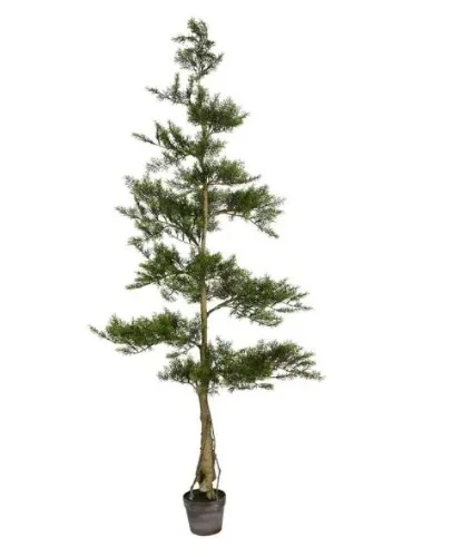 Faux Fir