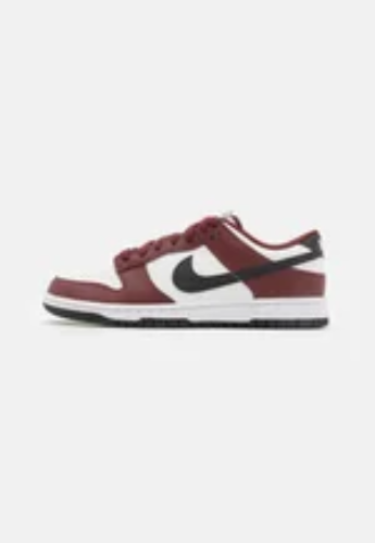 DUNK  - Low Sneakers