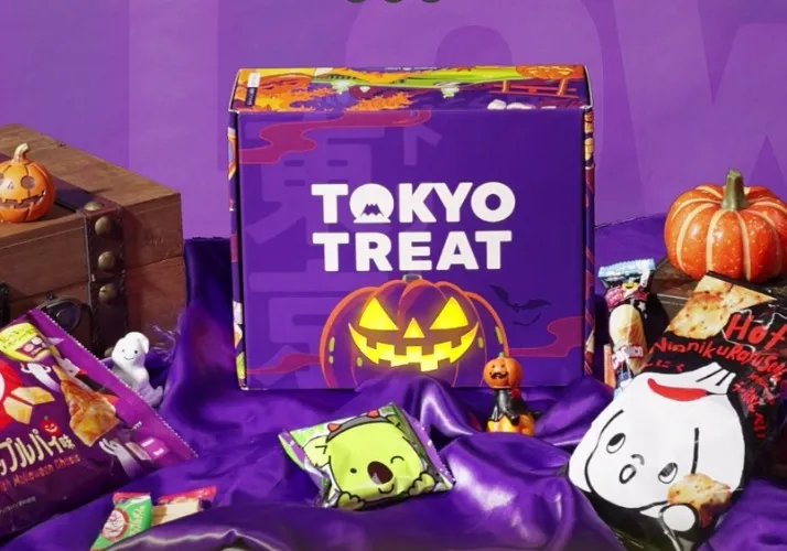 12 month plan with Tokyo Treats