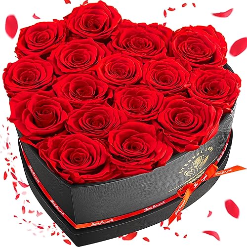 Impouo Konservierte Rose, Geschenke für sie, Geburtstagsgeschenke für Frauen, Geschenke für Mama/Freundin/Frau/Oma Weihnachten, Geburtstag, Valentinstag - Herzförmige Rote Rose - Rot - 16 Rose