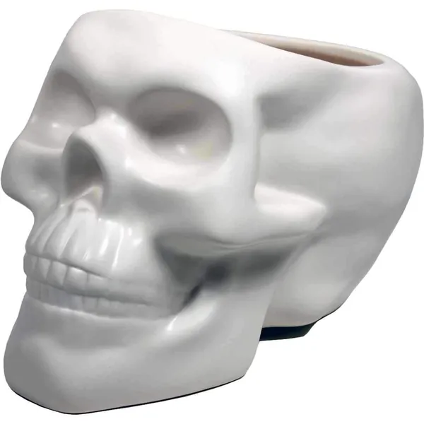 Skull Bone Plant Pot - White