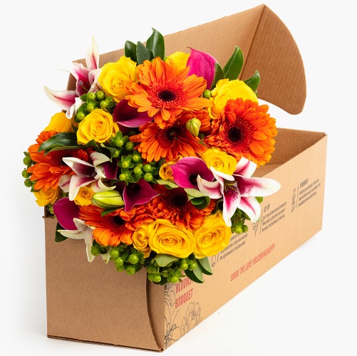 Bloomsy Premium - Month to Month