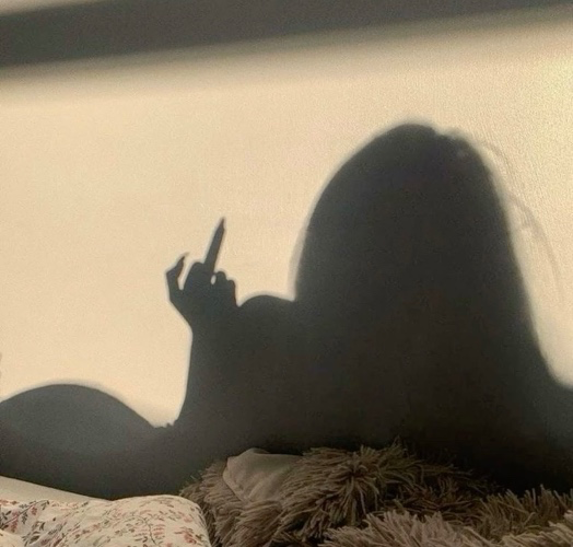 𝐒𝐡𝐫𝐢𝐦𝐩 𝐓𝐚𝐱