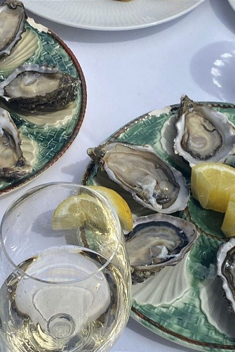 Oyster Obsession