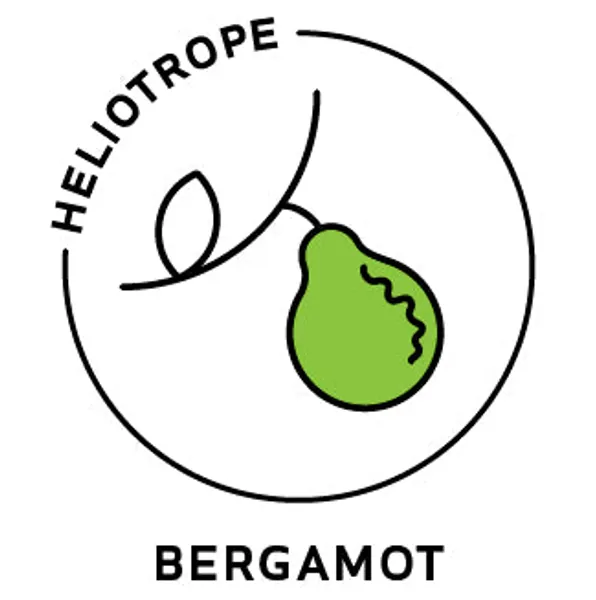 Essential Oil - Bergamot (Organic)