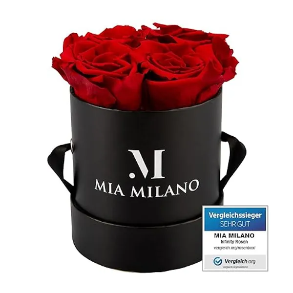 Infinity Rosen in Rosenbox I Schwarze Box mit echten konservierten Rosen (3 Jahre haltbar) Ewige Flowerbox als Geschenk für Sie - Rot