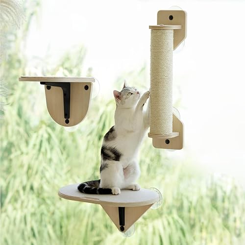 Window Perch for my Cats