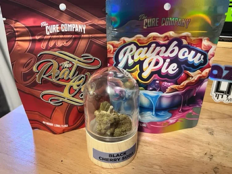 That Good Tree 🍃😶‍🌫️