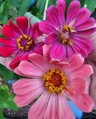 For being beautiful 🥰