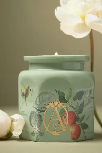 Apothecary 18 apple orchard candle