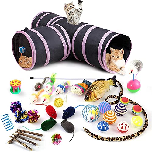 35 Pcs Cat Toy Kitten Toys Set, Interactive Catnip Toys Incl 3 Ways Tunnel, Cat Feather Teaser Wand, Chew Sticks, Catnip Fish, Mice, Variety of Balls and Bells for Indoor & Outdoor Playing (Pink) - 35 Count (Pack of 1) - Pink