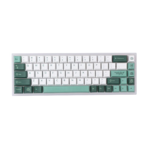 EPOMAKER Botanic Garden 144 Keys PBT Cherry Profile Keycaps Set for Standard US/UK Layout Mechanical Gaming Keyboard, Compatible with Cherry Gateron Kailh Otemu MX Structure - Botanic Garden