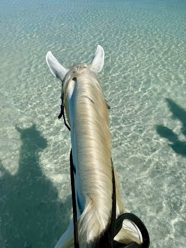 Horseriding on the beach 🐎
