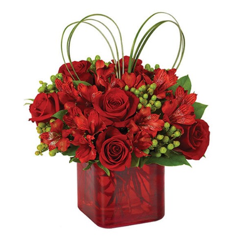 Valentine's Day Surprise - Valentine's Day Surprise / BF247-11KM