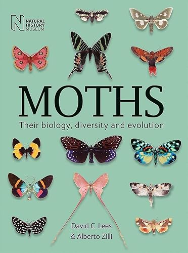 Moths: Their biology, diversity and evolution