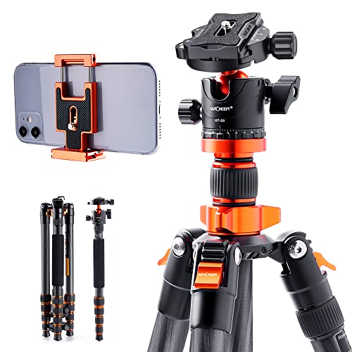 K&F Concept SA255C1 - Trípode de cámara, 170cm Tripode Completo de Carbono para Camara Profesional 360°, Trípodes Camara Reflex con 1/4" Rótula de Bola - D255C4+BH-28L
