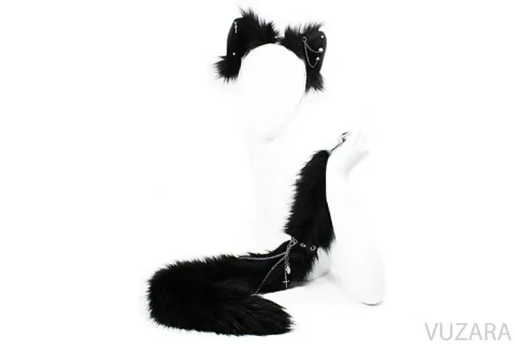 Black Cat Ears + Tail w/ detachable plug