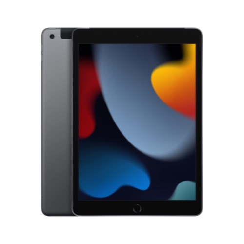 Apple 2021 iPad (10.2-inch, Wi-Fi + Cellular, 64GB) - Space Grey (9th Generation)