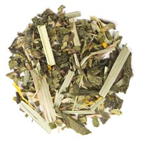 Citrus Mint Green Tea | Buy Online | Free Shipping Over $49