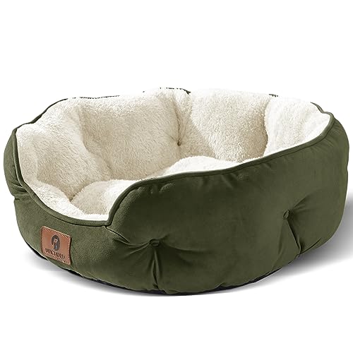 Asvin Medium Dog Bed for Medium Dogs, Large Cat Beds for Indoor Cats, Pet Bed for Puppy and Kitty, Extra Soft & Machine Washable with Anti-Slip & Water-Resistant Oxford Bottom, Green, 25 inches - Medium (Pack of 1) - Green