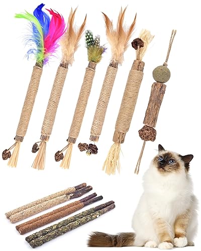 TINDTOP Silvervine Chew Sticks for Cats, 12 Pack Natural Catnip Chew Toys for Kittens Teeth Cleaning, Matatabi Dental Care, Increase Appetite, Calm Cat Anxiety and Stress, Cat Dental Toy - 12 Pack