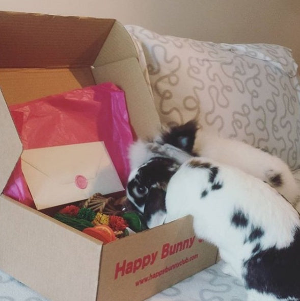 Happy Bunny Club Box | Order