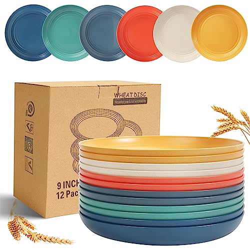 OAMCEG 12 Pack Plastic Plates Reusable