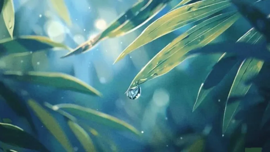 *:ꔫ:* Droplet *:ꔫ:*