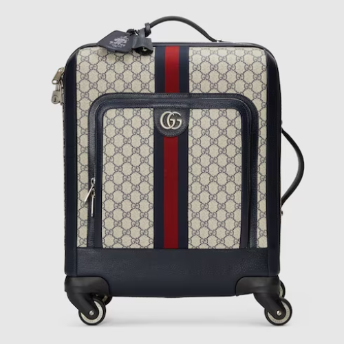Gucci Small Case