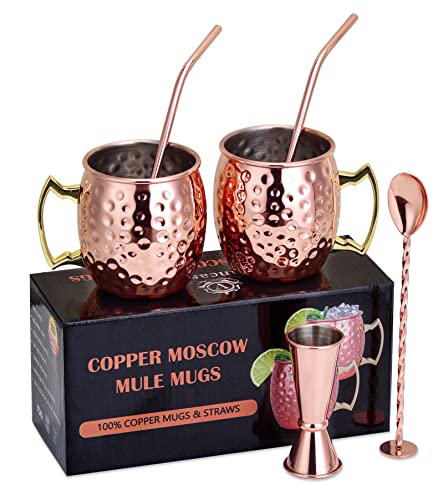 vancasso Moscow Mule Copper Mugs, 400ml Handcrafted Cocktail Glasses with Hammered Finish, Food Grade Pure Solid Copper Mugs Gift Set, for Cocktail, Wine, Beer, Cold Drink - Pack of 2