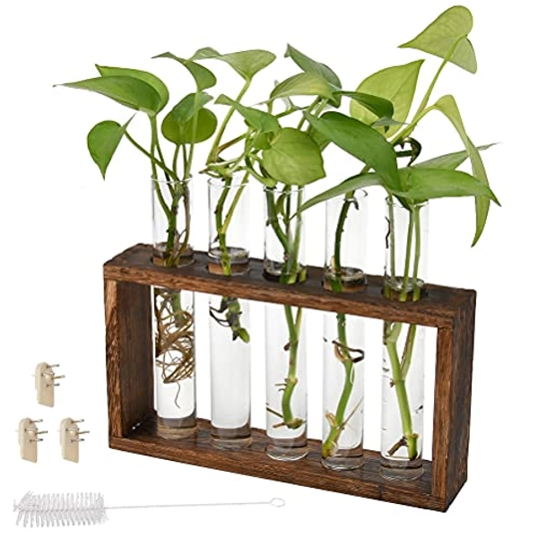 Tabletop Glass Terrariumin Wooden Stand, Wall Hanging Glass Planter Propagation Station with 6 Test Tube, Tabletop Flower Vase Terrarium in Vintage Wood Stand Rack for Office Home Decoration