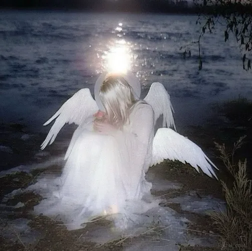 ˚₊‧꒰ა 333 ໒꒱ ‧₊˚