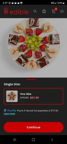 Edible Arrangements LARGE